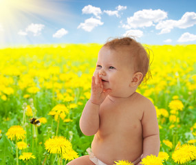 Fototapeta premium Baby-girl sitting among dandelion collage