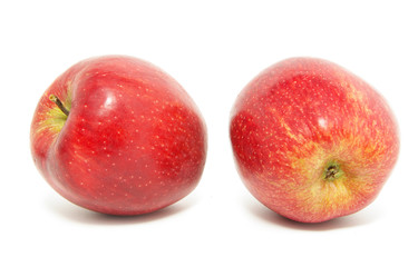 fresh apples