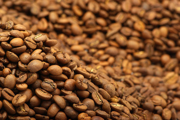 coffee beans
