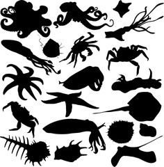 Obraz premium fish, silhouette