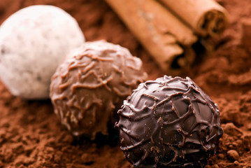 Schokoladen Trüffel