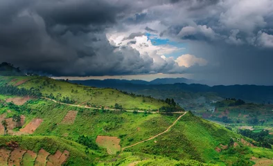 Gardinen Afrikanische Landschaft, Regenzeit © Dmitry Pichugin