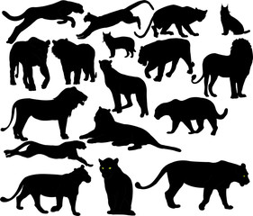 wildcats collection silhouettes