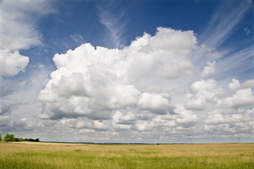 Fototapeta na wymiar Landscape in spring with dramatic sky