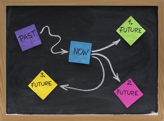 Future choices - alternative paths