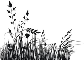 Grass vector silhouette - 14596814