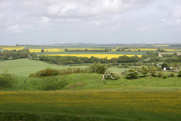 view of English countryside
