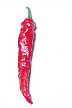 Spicy Chilli Peppers