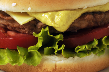 Panino farcito con pollo verdure formaggio pomodori