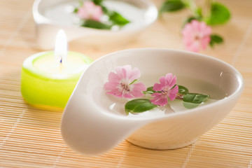 Obraz na płótnie Canvas little flowers in bowl