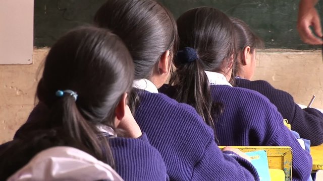 Schulm&auml;chen, S&uuml;damerika