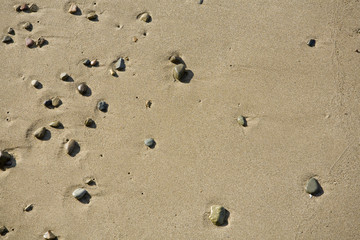 Fototapeta na wymiar Wet Sand with Rocks