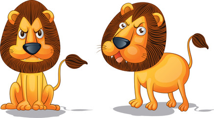 Fototapeta premium Animals
