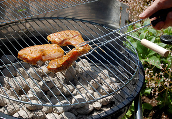 Grill mit Fleisch und Spießen