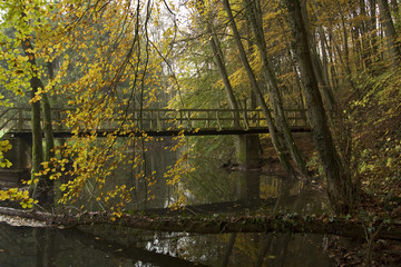 herbstliche Idylle am Fluß