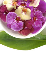 Naklejka na ściany i meble Bowl of colorful orchid with leaf