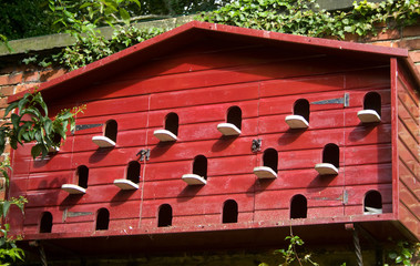 Pigeon house