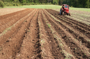 Tractor working a fallow ploughed field