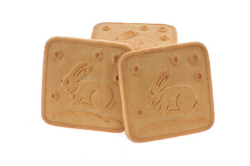 Tasty cookie and cakes isolated on white background