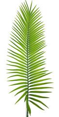 palme