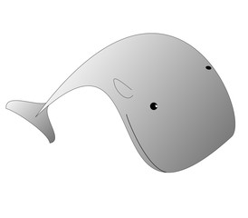 Obraz premium Balena Grigia