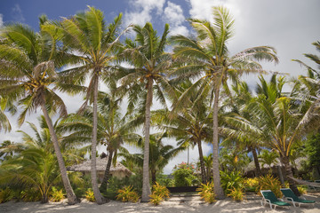 Fototapeta na wymiar Tropical Beach with Palm Trees, Lounge Chairs and Palm-thatched