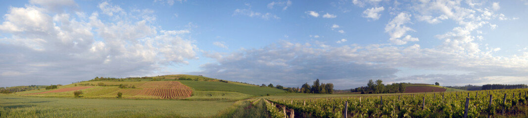 Obraz premium Stitched Panorama