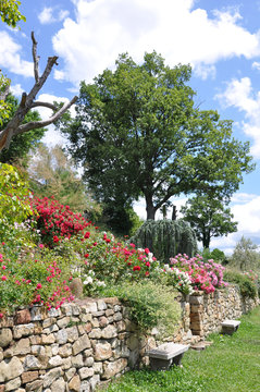 muret et jardin