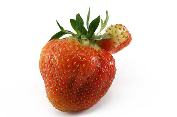 strawberry