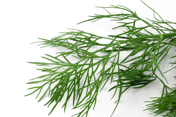fennel
