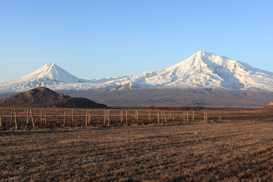 Ararat valley at daybreak