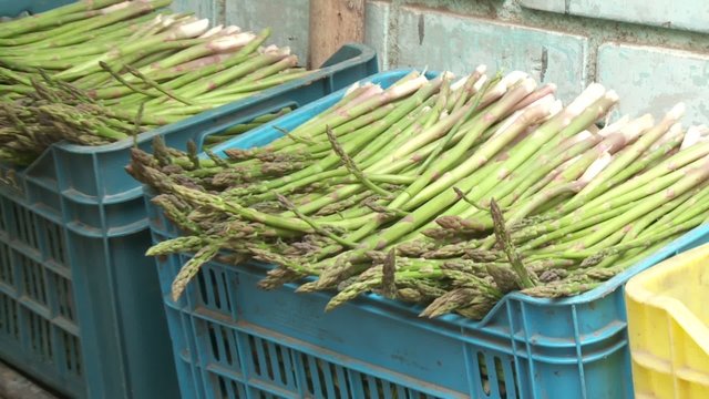 Spargel nach Ernte