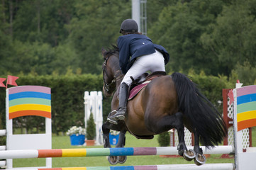 Salto de obstáculos