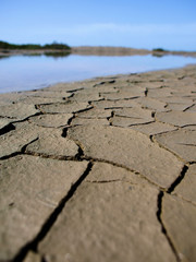 trockene erde am wasserloch