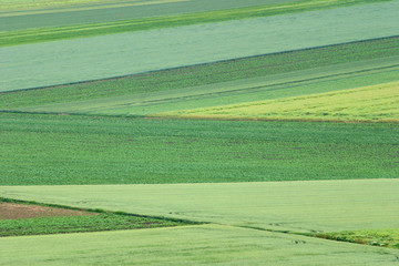 Obraz premium countryside