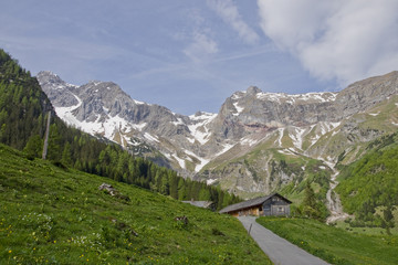 Fototapeta na wymiar Alpe im Brandnertal