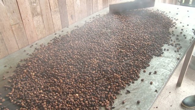 Frisch ger&ouml;steter Kaffee