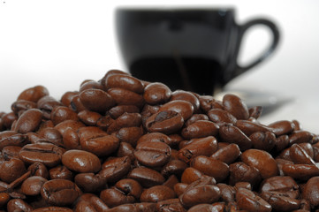 Arabica Kaffeebohnen für vollen Kaffeegenuss