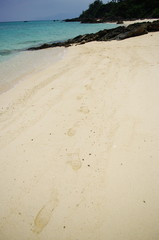 浜辺