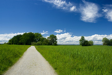 Fototapeta na wymiar bavarian landscape with away on a nice weather day
