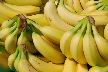 Bananes 3 - obrazy, fototapety, plakaty