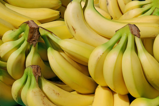 Bananes 3