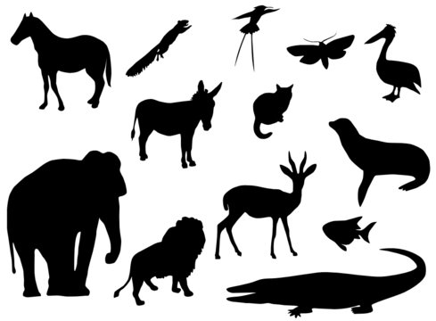 Illustration of animal silhouettes