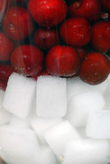 cerises