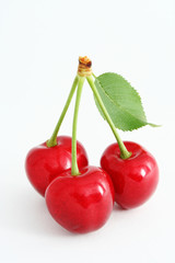 The Ripe sweet cherries