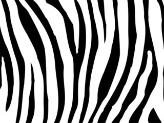 Zebra Textur 03 - obrazy, fototapety, plakaty