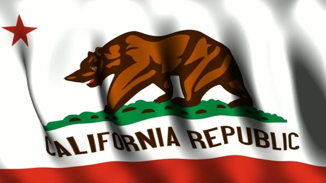 California (US) Flag
