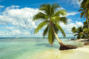 Plage tropicale