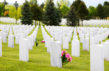 USA Military Cemetery Headstones & Flowers