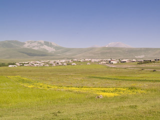 Obraz premium Yellow flowers in background village